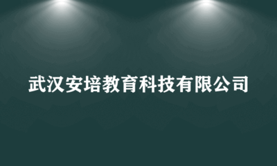武漢安培教育科技 用科技賦能教育，創(chuàng)新引領(lǐng)未來(lái)